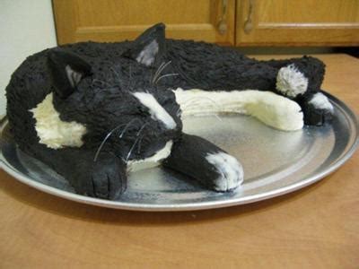 Cat Cake