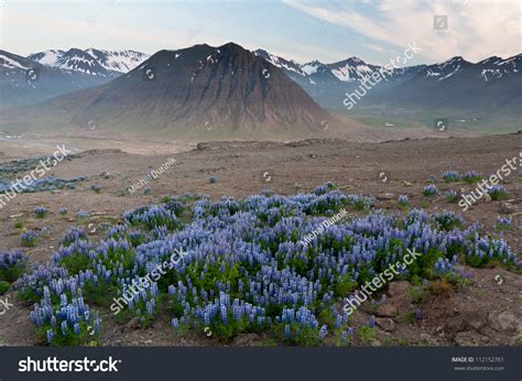 Huge Mountains In Iceland In Wonderful Light Stock Photo 112152761 ...