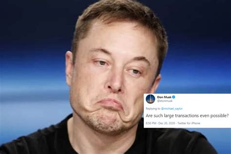 Elon Musk Bitcoin Meme Twitter