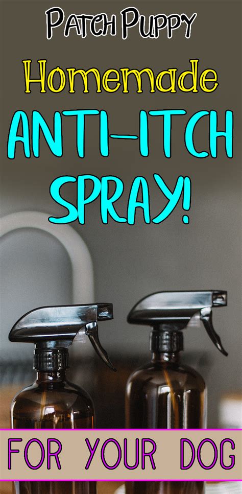 Homemade Anti-Itch Spray for Dogs (Easy 3 Ingredient Recipe) | Anti itch, Anti itch for dogs ...