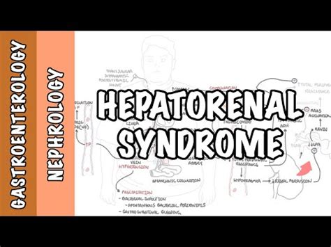 Hepatorenal Syndrome - Causes, Pathophysiology and Mechanism • Video ...