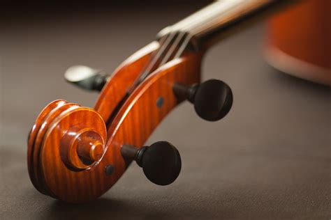 Brown String Instrument Selective Focus Photography · Free Stock Photo