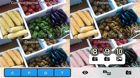 Chromatic Vision Simulator > How to use