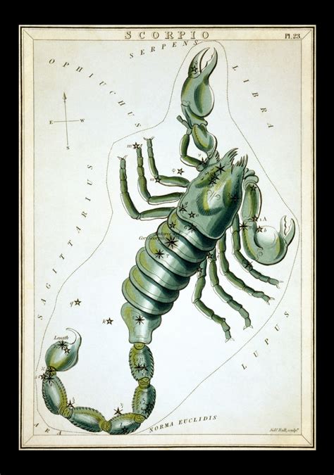 Scorpio Vintage Zodiac Art Print Free Stock Photo - Public Domain Pictures