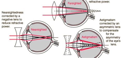 Lenses Uses | Science online