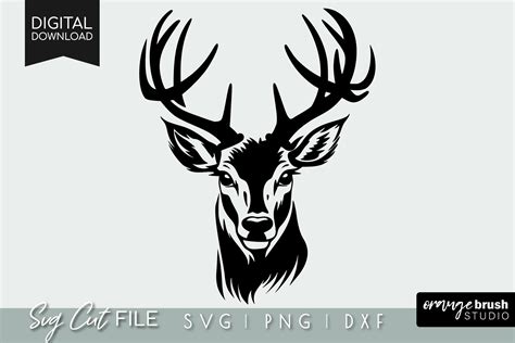 Deer Head SVG for Cricut, Deer Hunting Graphic by Orange Brush Studio ...