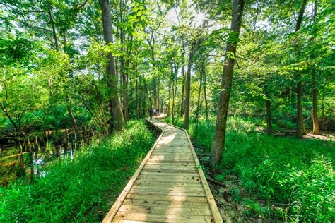 New Braunfels Hiking Trails: The Top 10 Destinations