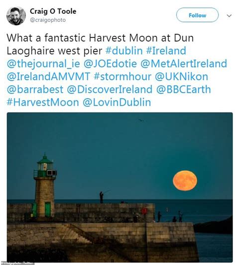 Awesome in orange! Super bright Harvest Moon glows in the sky | Daily Mail Online