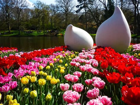 Plan your trip to Keukenhof, world's largest flower garden