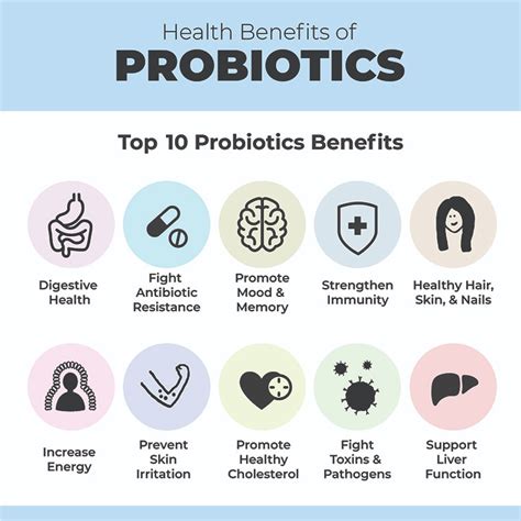 2024's Top 5 Probiotics Supplements | Smarter Reviews