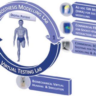 Prosthesis design platform. | Download Scientific Diagram