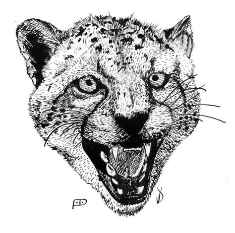 Cheetah Roaring Drawing