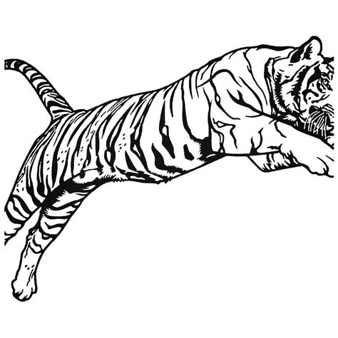 Bengal Tiger Drawing | Free download on ClipArtMag