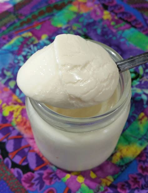 Cold Start Yogurt for Yogurt Maker | Recipe | Yogurt maker, Yogurt ...