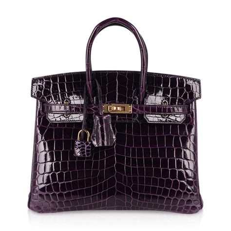 Hermes Birkin 25 Bag Aubergine Niloticus Crocodile with Gold Hardware ...