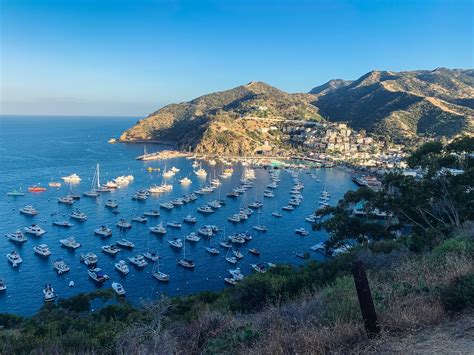 Catalina Island Company Re-Opens Moorings | BDOutdoors | Bloodydecks