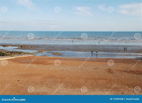 Hastings beach, England stock photo. Image of south, shingle - 12239108