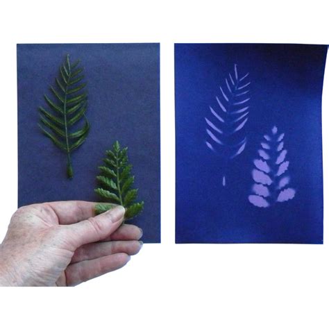 Cyanotype Store Cyanotype Paper 162334 B&H Photo Video