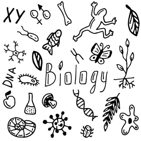 Premium Vector | Set of biology style doodle