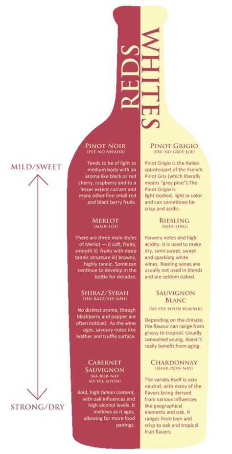 The Wine Guide | Blushing Black