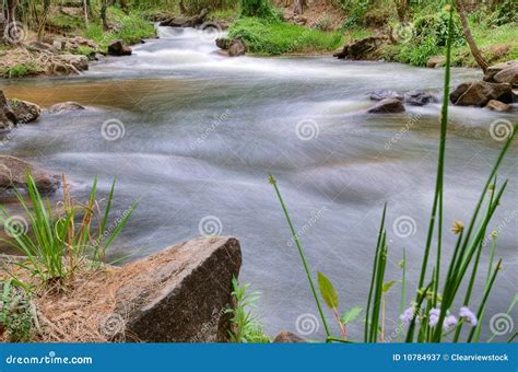 River or Stream Nature Landscape Stock Image - Image of landscape ...