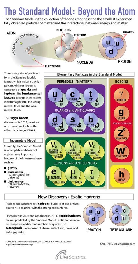 Strange Quarks and Muons, Oh My! Nature's Tiniest Particles Dissected ...