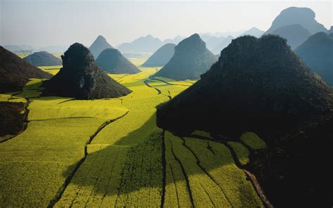 Rapeseed, Hill, Landscape, Nature, China, Mist, Sunlight Wallpapers HD ...