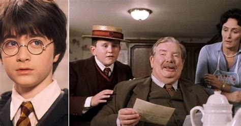 Harry Potter: 5 Worst Decisions The Dursleys Made (& The 5 Best)