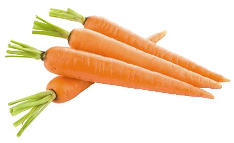 Carrots Helping Eyesight? | SiOWfa15: Science in Our World: Certainty and Controversy