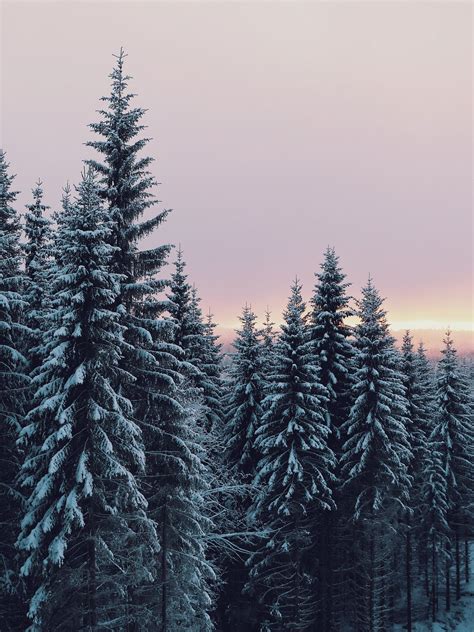 January 6, 2016, 2:53 PM | sannalinn | VSCO | Winter wallpaper, Winter scenery, Winter landscape