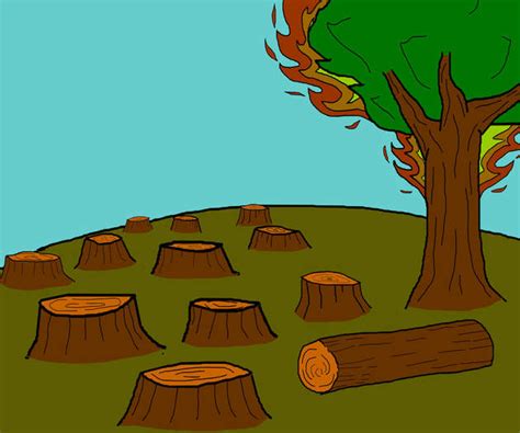 Deforestation animation video - cas-manu achman