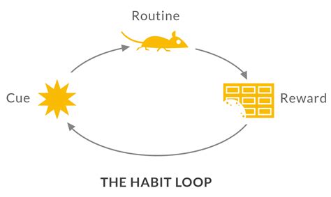 The Habit Loop