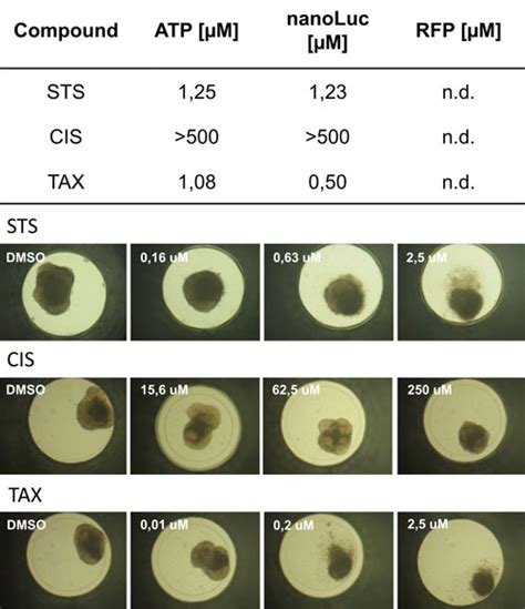 Focusing on Multi-Analyte Detection & Analysis