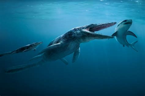 Tylosaurus | Paleo Media Wiki | Fandom