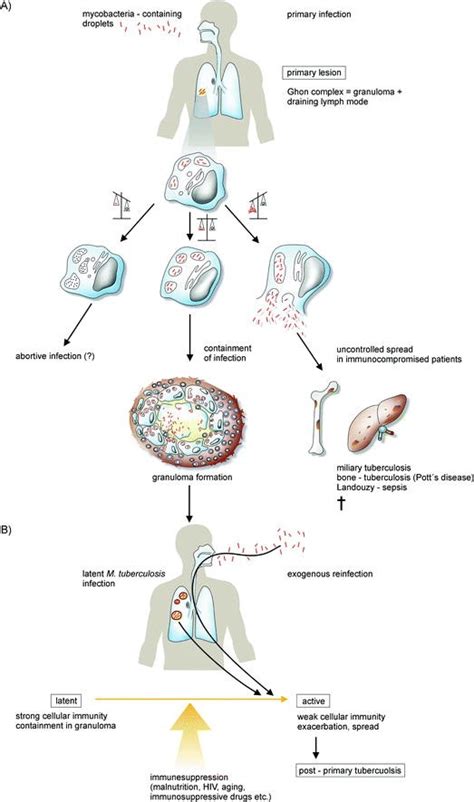 Immunity to Infectious Diseases | SpringerLink