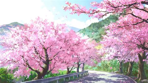 Download Anime Cherry Blossom Green Mountains Background | Wallpapers.com