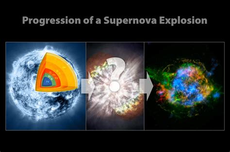 Evolution of a Supernova