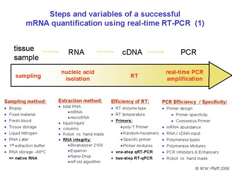 Rna isolation and real time quantitative rt pcr