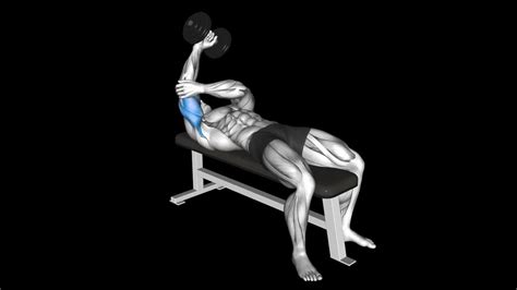 Lying Dumbbell Tricep Extension