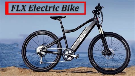 FLX Electric Bike - Affordable Lightweight Adventure eBike | Top-speed 30mph🚴 - YouTube