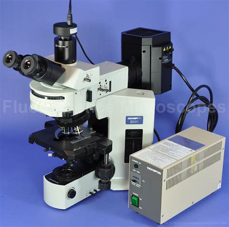 Fluorescence Microscopes - Olympus Bx51 Fluorescence Microscope