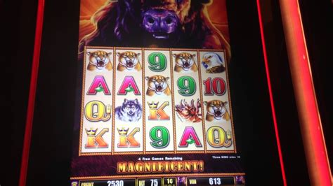 BUFFALO STAMPEDE SLOT MACHINE BONUS WIN - YouTube