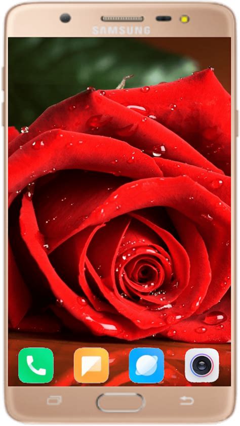 Red Rose Wallpaper 4K APK для Android — Скачать