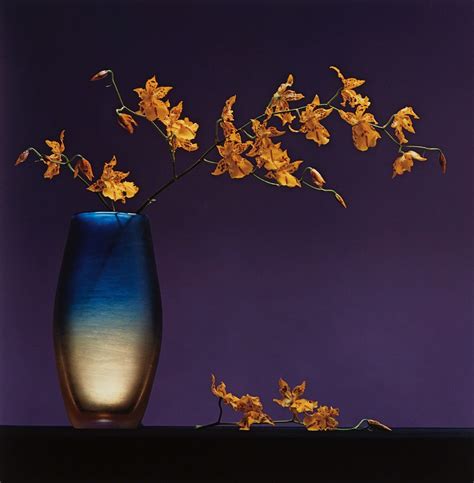 Robert Mapplethorpe | Flowers in Vase (1985) | Artsy