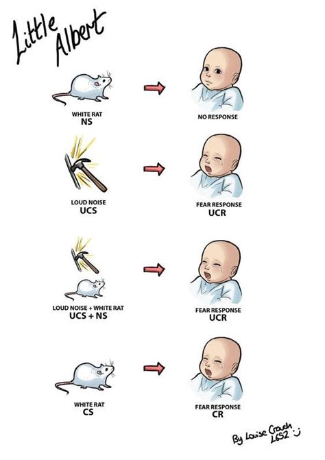 Classical Conditioning Little Albert