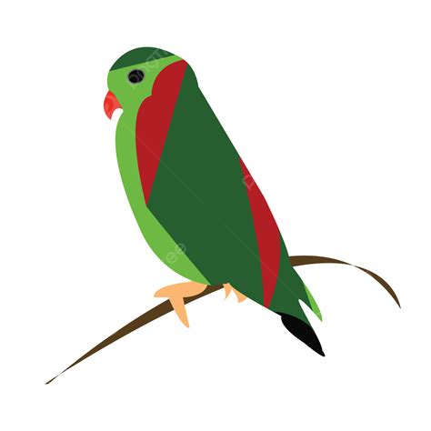 Colorful Bird Vector Illustration, Bird, Bird Vector, Birds PNG and Vector with Transparent ...