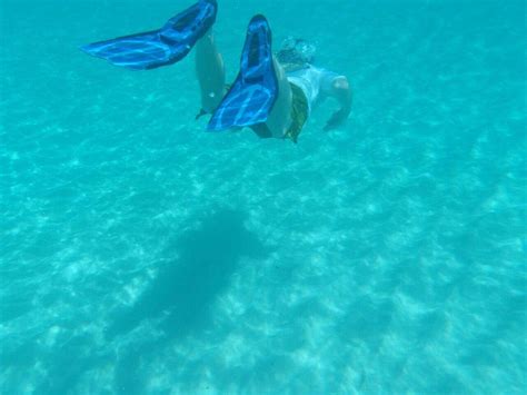 Beach + Snorkeling | Coral Gardens