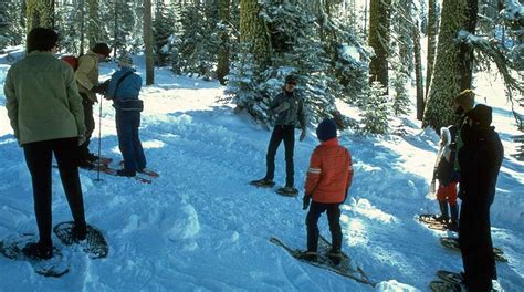 The Best Time to Visit Yosemite (For Digital Nomads ...