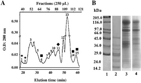 (A) Molecular exclusion chromatography of Latrodectus geometricus... | Download Scientific Diagram