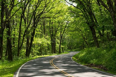 Scenic Highway in a US National Park Stock Photo - Image of curve ...